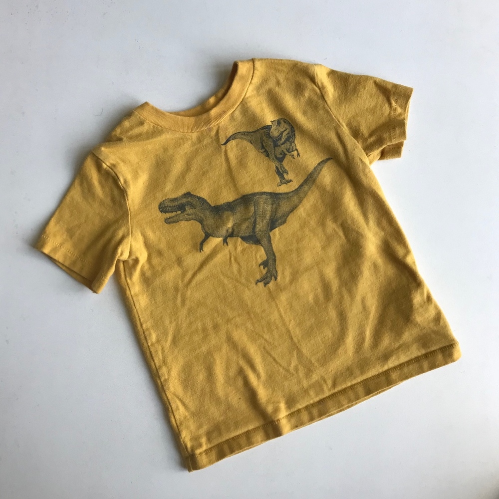 Baby Gap Playtime Favorites Dinosaur T-shirt